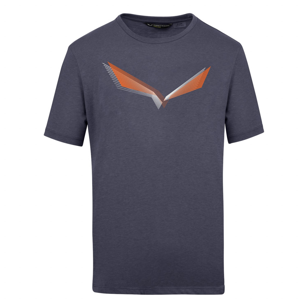 Salewa Lines Graphic Dry Erkek T-Shirts Mavi/Lacivert Türkiye 071483RKY